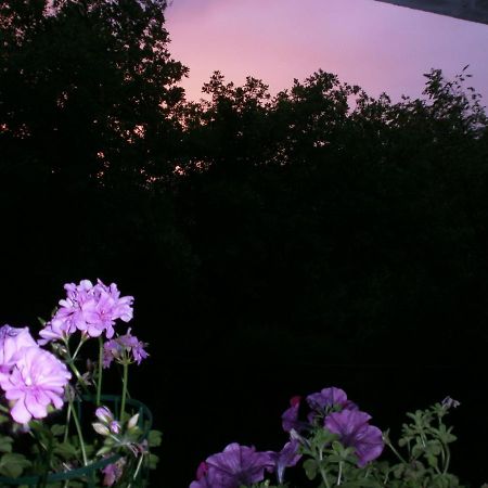 شقة A Casa Di Stella بيرودجا الغرفة الصورة